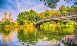 Cental-Park-Neighborhoods-bow-bridge-in-Central-Park-f72f94