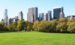 Central Park, Manhattan, New York_GettyImages-528180834