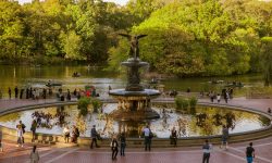 CentralPark_ChristopherPostlewaite_0427_greentrees