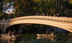 CentralPark_ChristopherPostlewaite_0630
