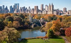 Aerial view of Belvedere Castle and Turtle Pond in nuzzled in the fall foilage in Central Park. Buildings lining Central Park West including The Majestic, Dakota, Langham, San Remo, and Time Warner Center are prominently featured in the skyline.