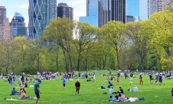 Sheep-Meadow-Central-Park-5.4.20