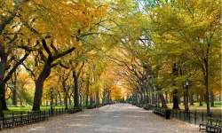 TRAVEL-PHOTO-HORIZONTAL-1