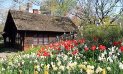 USA-NYC-Central_Park-Shakespeare_Garden