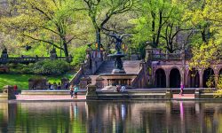 bethesda-terrace-central-park-nyc-lumiere
