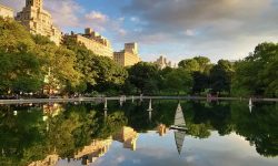 central-park-conservatory-water-yusheng-chang