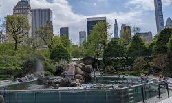 central-park-zoo-new-york-ny-central-park-zoo-04