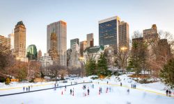 new-york-central-park-1500x850__3_