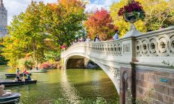 shutterstockRF_519864937