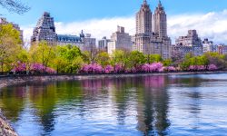 central-park-attractions-complete-guide-to-every-landmark